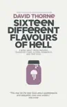 Sixteen Different Flavours of Hell synopsis, comments