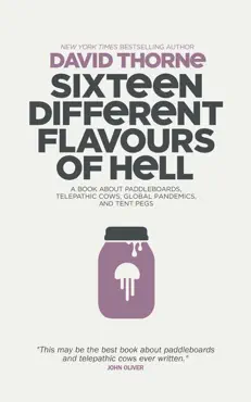 sixteen different flavours of hell book cover image