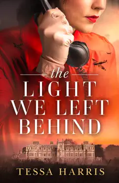 the light we left behind book cover image