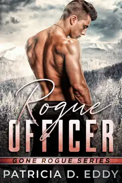 rogue officer book cover image