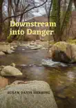 Downstream into Danger synopsis, comments