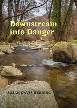 downstream into danger book cover image