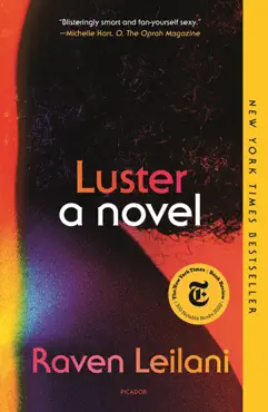 luster book cover image