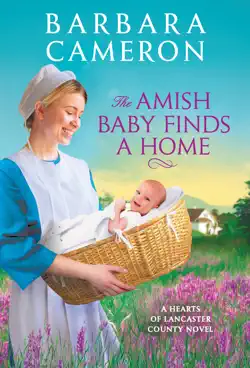 the amish baby finds a home book cover image