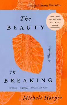 the beauty in breaking book cover image