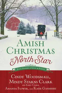 amish christmas at north star book cover image
