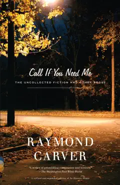 call if you need me book cover image
