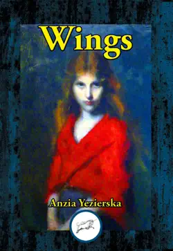 wings book cover image