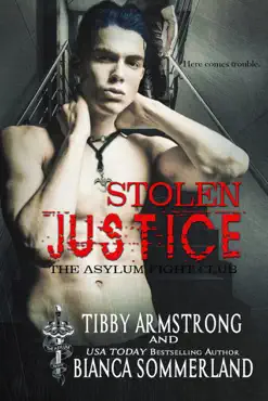 stolen justice book cover image