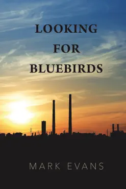 looking for bluebirds book cover image