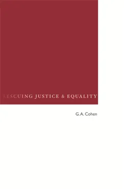 rescuing justice and equality book cover image