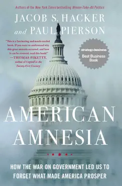 american amnesia book cover image