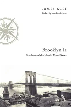 brooklyn is book cover image