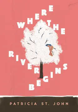 where the river begins book cover image
