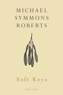 soft keys book cover image