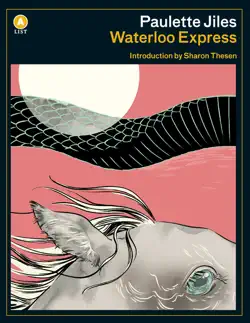 waterloo express book cover image