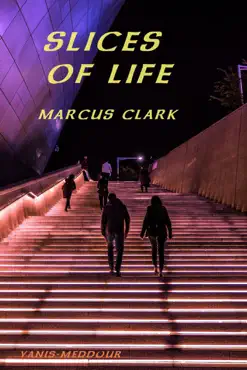 slices of life book cover image