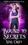 Bound to Secrets synopsis, comments
