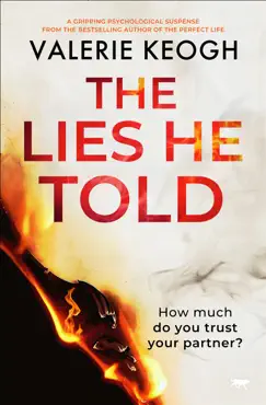 the lies he told book cover image