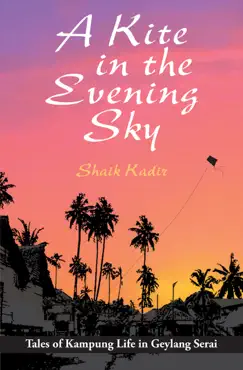 a kite in the evening sky book cover image