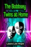 The Bobbsey Twins at Home sinopsis y comentarios