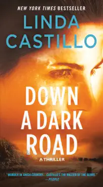 down a dark road book cover image