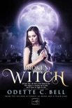 Broken Witch Episode One book summary, reviews and download