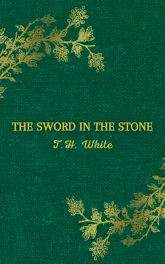 the sword in the stone book cover image