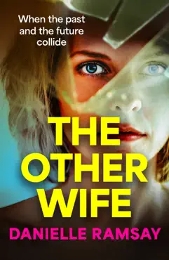 the other wife book cover image