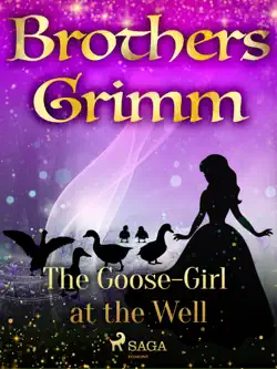 the goose-girl at the well book cover image