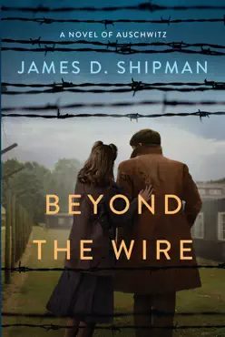 beyond the wire book cover image
