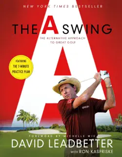 the a swing book cover image