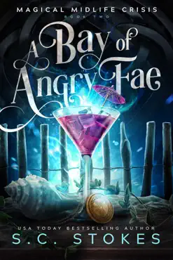 a bay of angry fae book cover image