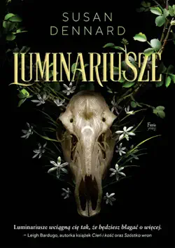 luminariusze book cover image