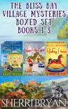 The Bliss Bay Village Mysteries Boxed Set Books 1 - 3 synopsis, comments