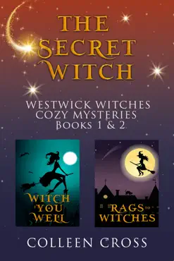the secret witch book cover image