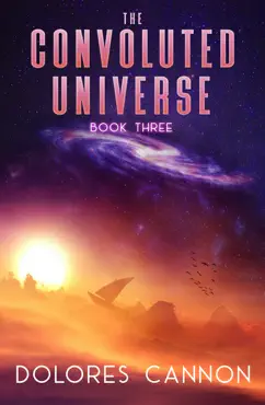 the convoluted universe book 3 book cover image