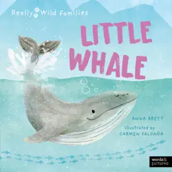 little whale book cover image