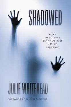 shadowed book cover image