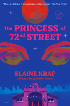 the princess of 72nd street book cover image