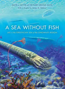 a sea without fish book cover image