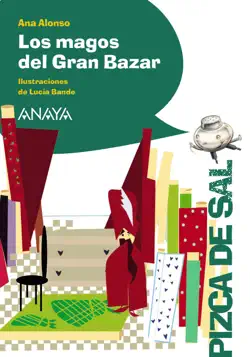 los magos del gran bazar book cover image