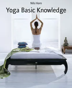 yoga basic knowledge book cover image