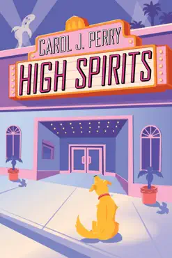high spirits book cover image