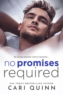 no promises required book cover image