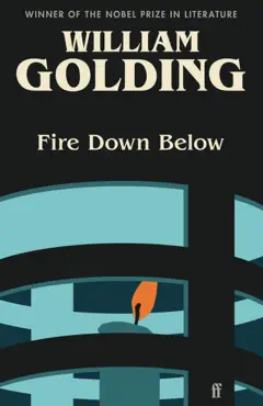 fire down below book cover image