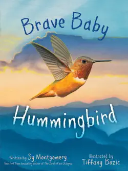brave baby hummingbird book cover image