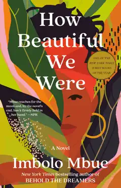 how beautiful we were book cover image