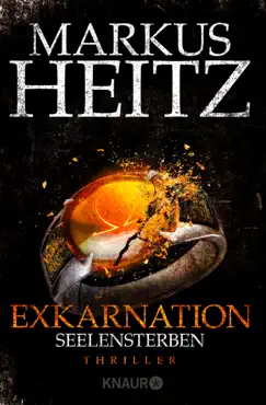 exkarnation - seelensterben book cover image