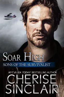 soar high book cover image